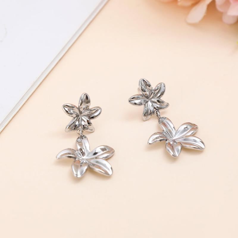 Boucle d'oreilles argenté