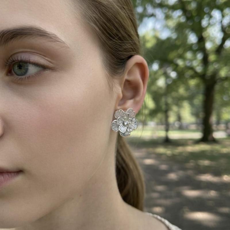 Boucles d'oreilles argenté